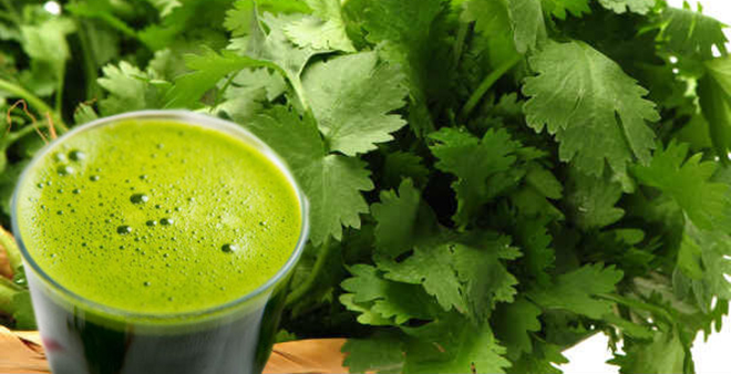 Coriander leaves juice