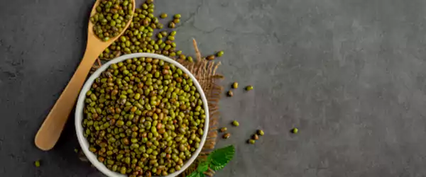 Coriander Seeds